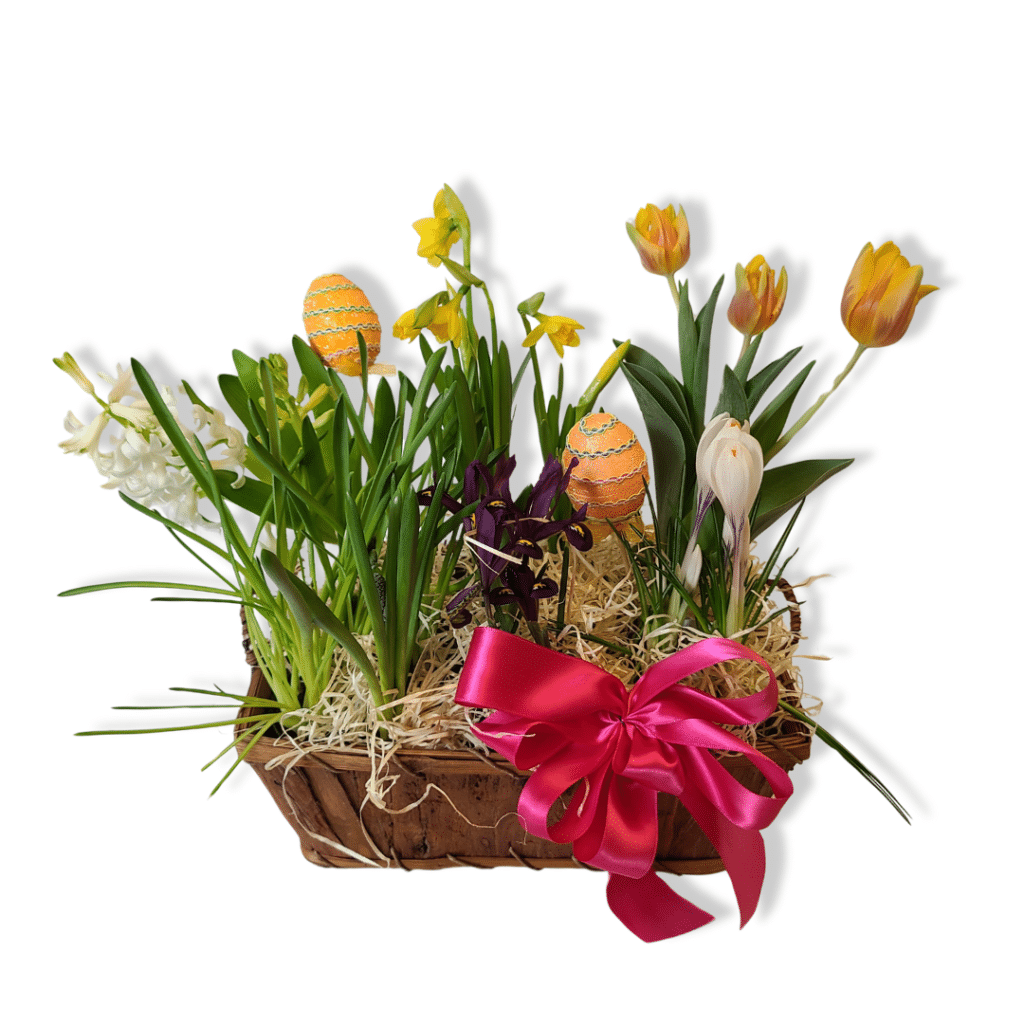 Springtime Basket - Florist Atropa Belladonna