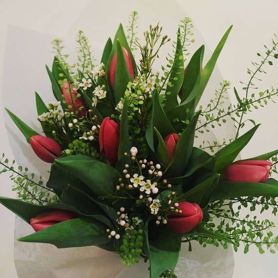 bringing tulips home in a beautiful bouquet