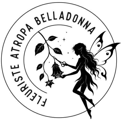 Circular logo featuring a mermaid and botanical elements inside a ring, with text along the outer edge (including the word BELLADONNA).